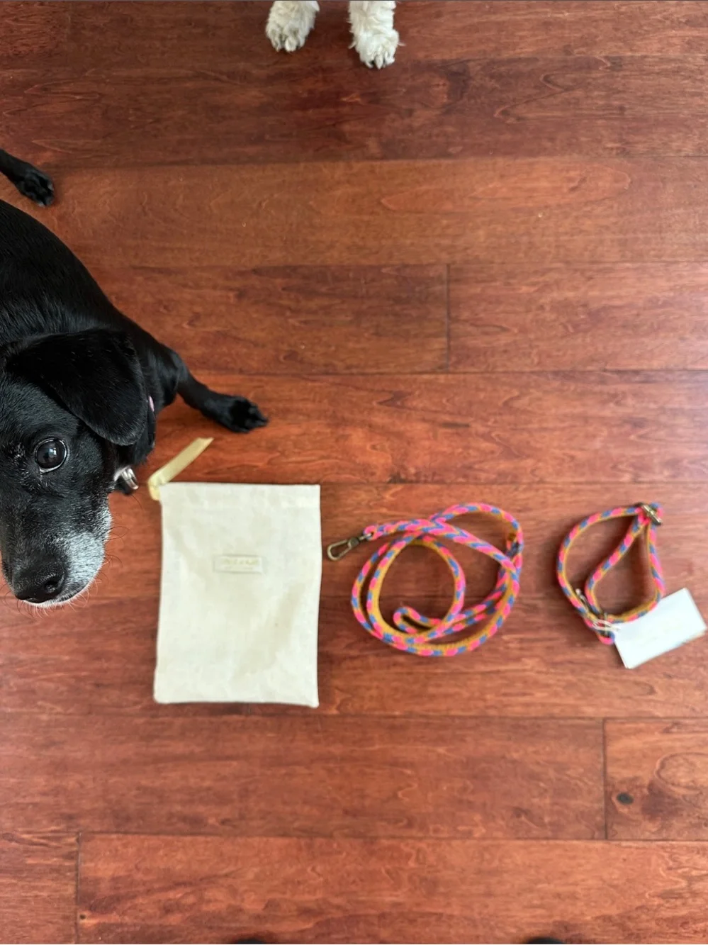 Multicolor Chevron Woven Dog Collar and Leash Set